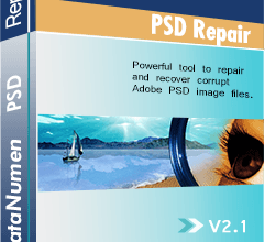 DataNumen PSD Repair Cover