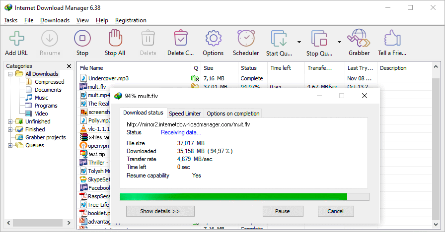 Multilanguage Internet Download Manager 6.38 Build 5 Final Version Oct 2020 