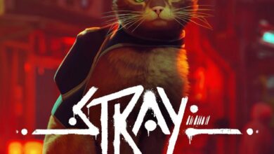 Stray Cover