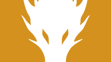 Dragonframe 4 Logo