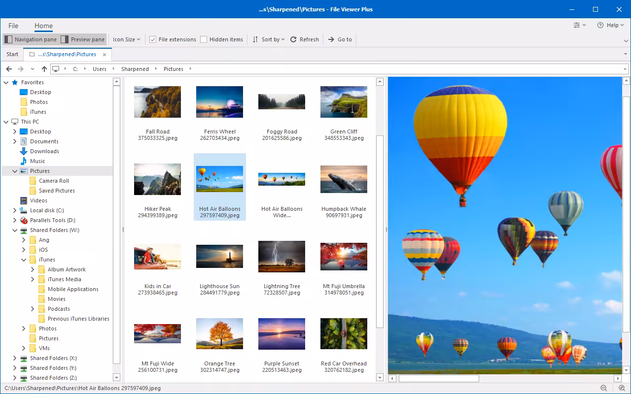 File Viewer Plus File Viewer Plus